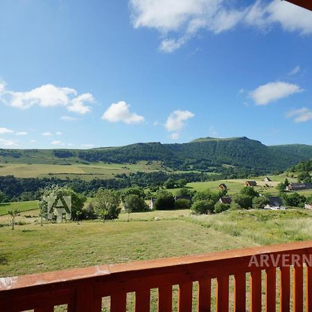Chalet De Solene Chambon-sur-Lac Luaran gambar